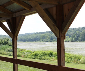 View from Sweet Evalina's patio